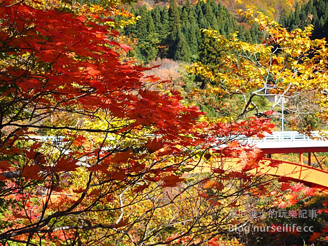 【日本賞楓】東北秋田紅葉景點 小安峽大噴湯 Oyasu-kyo Ravine Daifuntou - nurseilife.cc