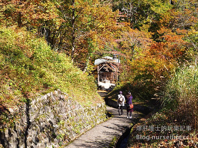 【日本賞楓】東北秋田紅葉景點 小安峽不動滝（不動瀑布） - nurseilife.cc