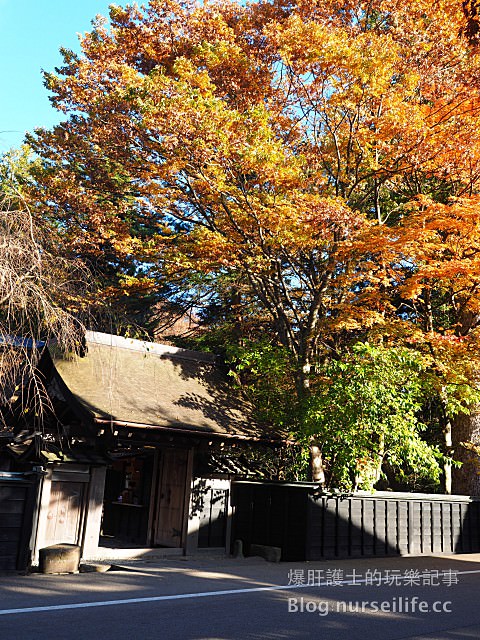 【日本賞楓】東北秋田紅葉景點 角館 武家屋敷 - nurseilife.cc