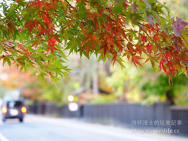 【日本賞楓】東北秋田紅葉景點 角館 武家屋敷 - nurseilife.cc