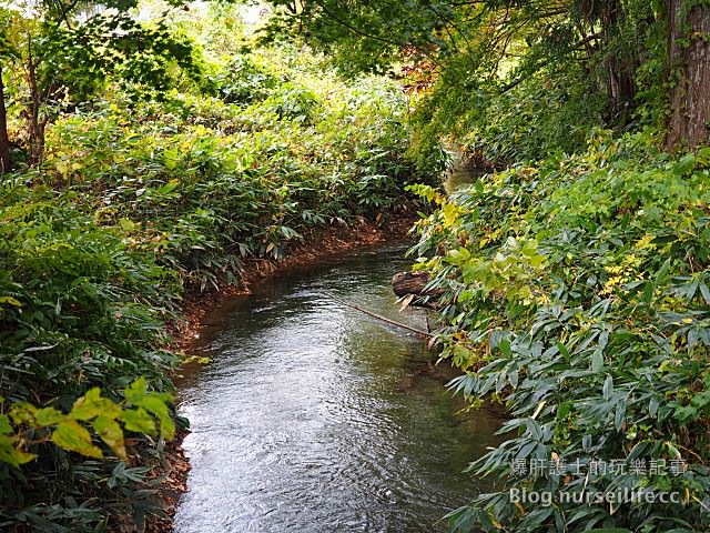 【日本賞楓】東北秋田紅葉景點 田澤湖抱返り渓谷（抱返溪谷） - nurseilife.cc