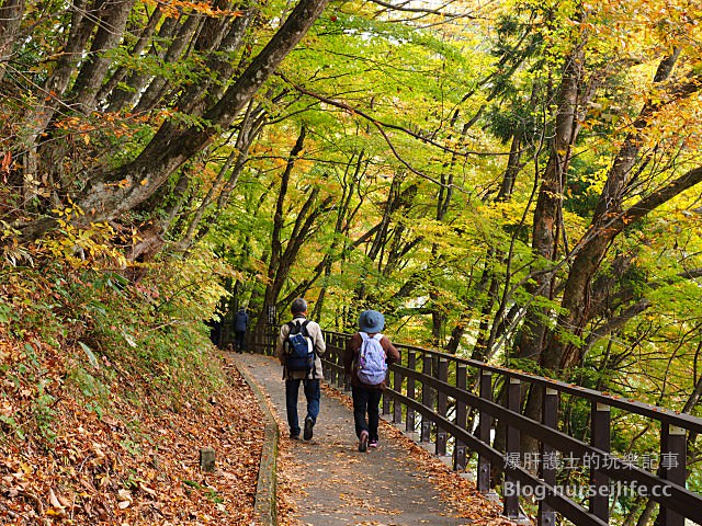 【日本賞楓】東北秋田紅葉景點 田澤湖抱返り渓谷（抱返溪谷） - nurseilife.cc