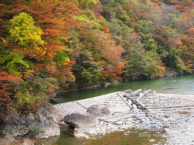 【日本賞楓】東北秋田紅葉景點 田澤湖抱返り渓谷（抱返溪谷） - nurseilife.cc