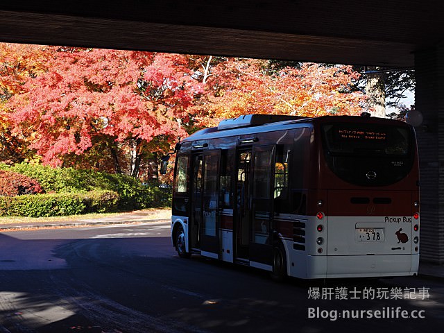 【輕井澤住宿】輕井澤王子大飯店小木屋 (Karuizawa Prince Hotel) - nurseilife.cc