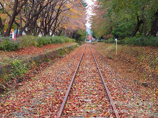 【秋田旅遊】時光遺忘的礦業小鎮！日本版的林田山 小坂町明治百年通り散策 - nurseilife.cc