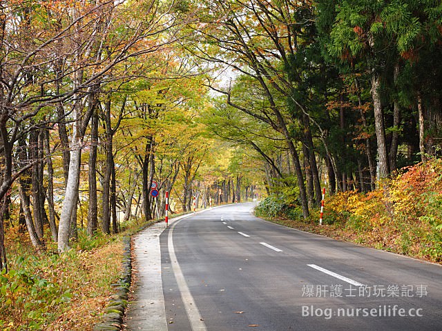 【日本賞楓】東北秋田青森賞楓自駕六天五夜行程分享 - nurseilife.cc