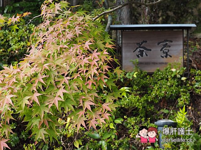 【海外婚禮】浪漫破表的和婚！京都貴船神社、上賀茂神社、琵琶湖景教堂、大津王子婚宴超感人！ - nurseilife.cc