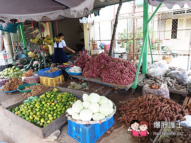 【越南旅遊】西寧市場 越南傳統菜市場大觀園 - nurseilife.cc