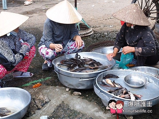 【越南旅遊】西寧市場 越南傳統菜市場大觀園 - nurseilife.cc