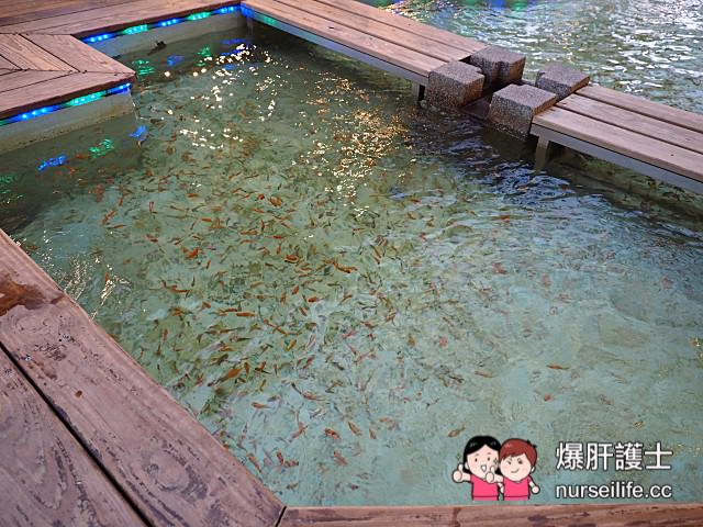 【宜蘭旅行】九號溫泉旅店X九鼎港點精緻鍋膳 來湯溝圍泡湯吃火鍋全身暖呼呼 - nurseilife.cc