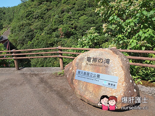 【鹿兒島–屋久島】龍神瀑布、千尋瀑布、大川瀑布、觀光案內所、屋久島ふるさと市場島の恵み館 - nurseilife.cc