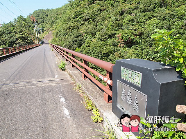 【鹿兒島–屋久島】龍神瀑布、千尋瀑布、大川瀑布、觀光案內所、屋久島ふるさと市場島の恵み館 - nurseilife.cc