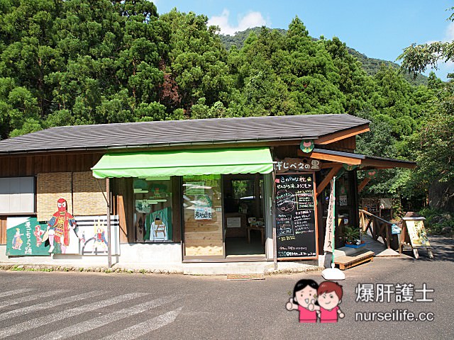 【鹿兒島–屋久島】龍神瀑布、千尋瀑布、大川瀑布、觀光案內所、屋久島ふるさと市場島の恵み館 - nurseilife.cc