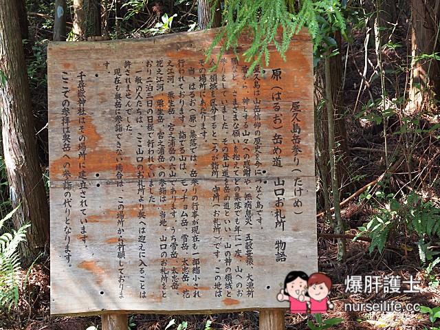 【鹿兒島–屋久島】龍神瀑布、千尋瀑布、大川瀑布、觀光案內所、屋久島ふるさと市場島の恵み館 - nurseilife.cc