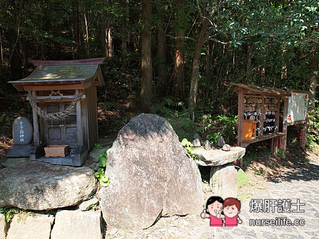 【鹿兒島–屋久島】龍神瀑布、千尋瀑布、大川瀑布、觀光案內所、屋久島ふるさと市場島の恵み館 - nurseilife.cc