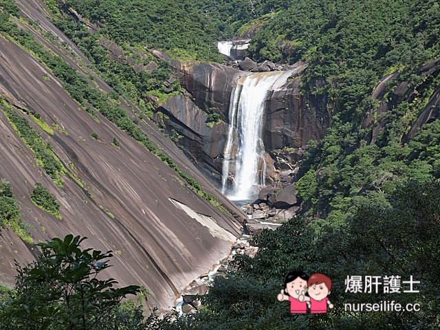 【鹿兒島–屋久島】龍神瀑布、千尋瀑布、大川瀑布、觀光案內所、屋久島ふるさと市場島の恵み館 - nurseilife.cc