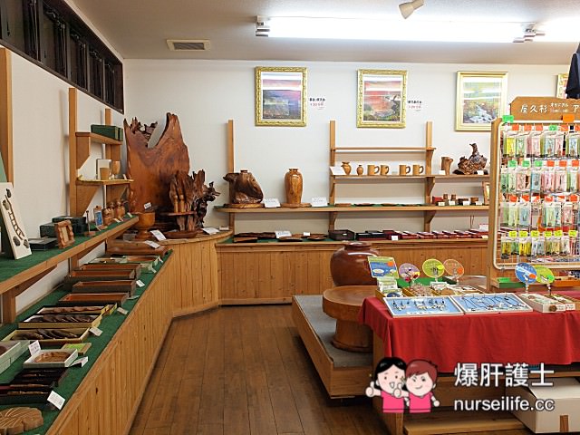 【鹿兒島–屋久島】龍神瀑布、千尋瀑布、大川瀑布、觀光案內所、屋久島ふるさと市場島の恵み館 - nurseilife.cc