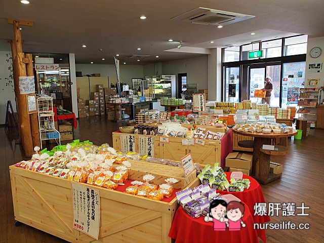 【鹿兒島–屋久島】龍神瀑布、千尋瀑布、大川瀑布、觀光案內所、屋久島ふるさと市場島の恵み館 - nurseilife.cc