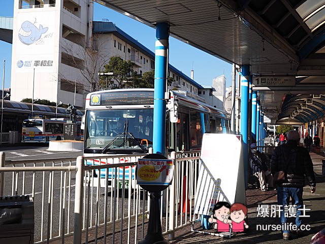 紅眼虎航台北東京平和島溫泉泡湯、購物、爽吃一日生活圈 - nurseilife.cc