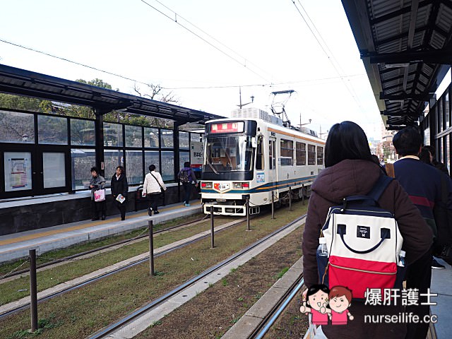 【熊本交通】熊本電車、周遊巴士一日券 - nurseilife.cc