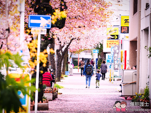 台灣虎航名古屋/合掌村/五箇山/金澤/加賀溫泉 北陸高山鐵道之旅 - nurseilife.cc