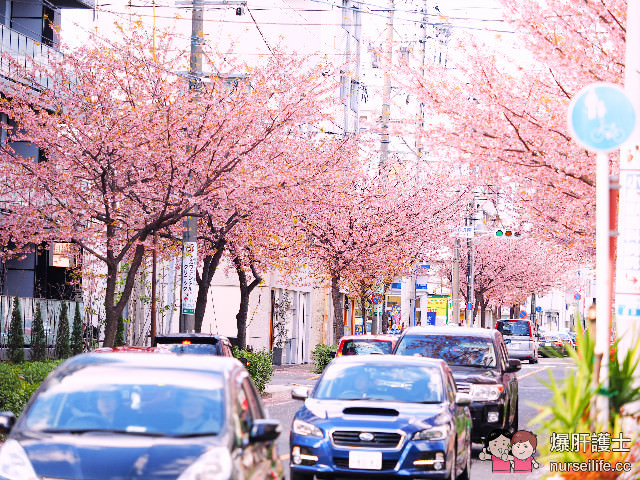 名古屋賞櫻地點 櫻通線高岳站2號出口處 - nurseilife.cc