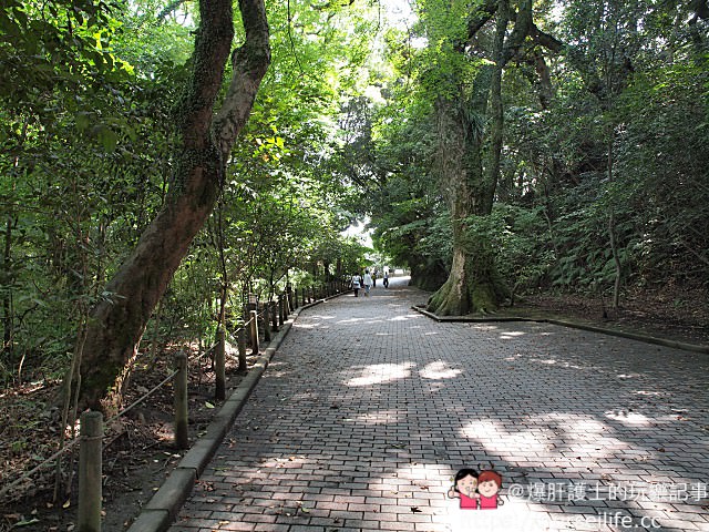 九州、鹿兒島｜可以遠眺櫻島火山噴發景象的城山展望台、西鄉隆盛洞窟 - nurseilife.cc