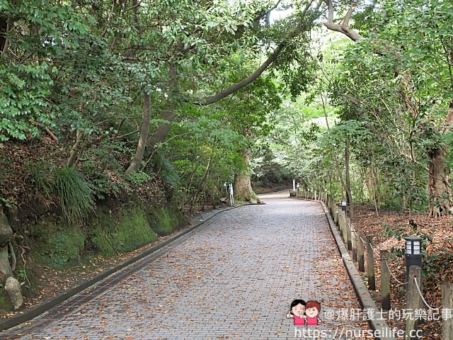 九州、鹿兒島｜可以遠眺櫻島火山噴發景象的城山展望台、西鄉隆盛洞窟 - nurseilife.cc