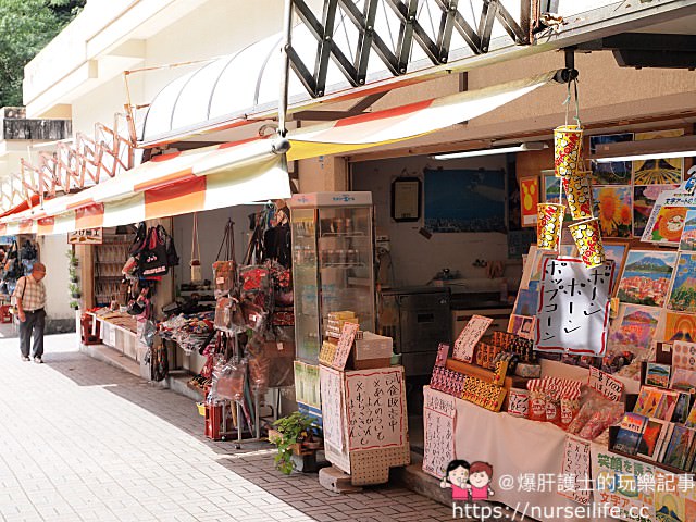 九州、鹿兒島｜可以遠眺櫻島火山噴發景象的城山展望台、西鄉隆盛洞窟 - nurseilife.cc