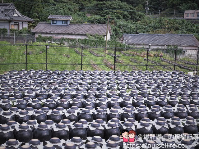 九州、鹿兒島｜ 霧島–坂元くろず「壺畑」情報館 認識黑醋觀光工廠 - nurseilife.cc