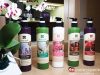 Antirincle 安緹妮蔻 眾多明星推薦的有機認證、無矽靈洗護髮、沐浴組
