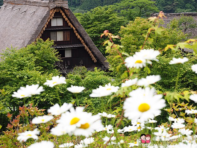 日本、下呂溫泉｜走進合掌村？不！現在流行從175公尺高的溜滑梯快速滑進童話世界！ - nurseilife.cc