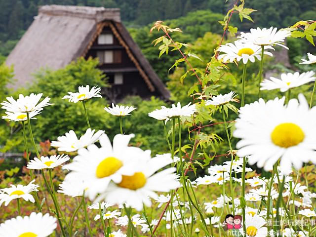 日本、下呂溫泉｜走進合掌村？不！現在流行從175公尺高的溜滑梯快速滑進童話世界！ - nurseilife.cc