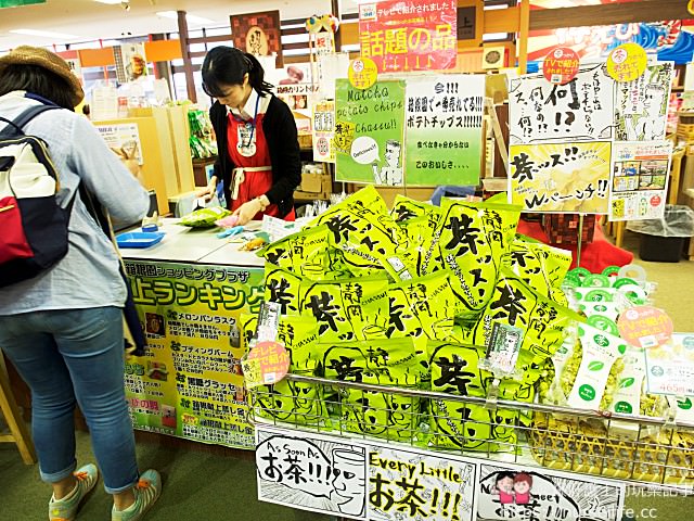 日本、箱根｜箱根王子飯店 日本最高水族館、箱根園、元箱根港、箱根駒岳空中纜車渡假之旅 - nurseilife.cc