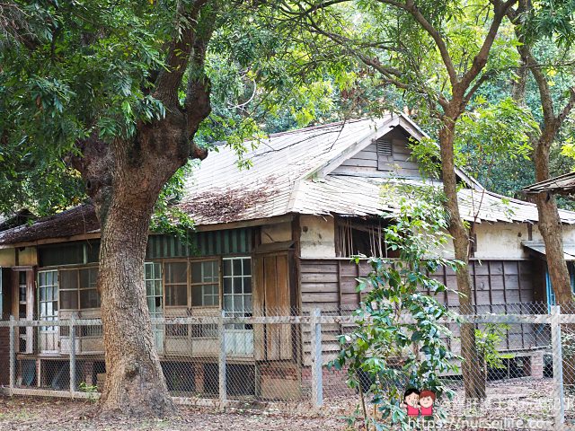 雲林、虎尾｜舊糖廠宿舍 荒廢的青田街一號 - nurseilife.cc