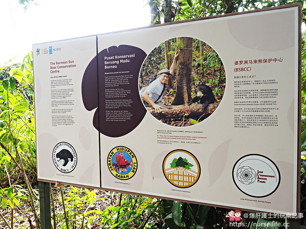 馬來西亞、沙巴｜山打根馬來熊保育中心 Bornean Sun Bear Conservation Centre - nurseilife.cc