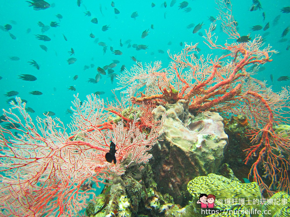 馬來西亞、沙巴｜亞庇婆羅洲礁石世界Borneo Reef World 亞洲最大的水上活動平台 - nurseilife.cc