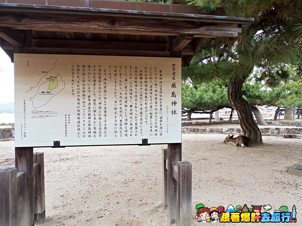 日本、廣島｜宮島嚴島神社–暢遊日本三大景與世界文化遺產之美 - nurseilife.cc