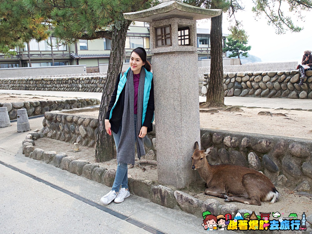 日本、廣島｜宮島嚴島神社–暢遊日本三大景與世界文化遺產之美 - nurseilife.cc