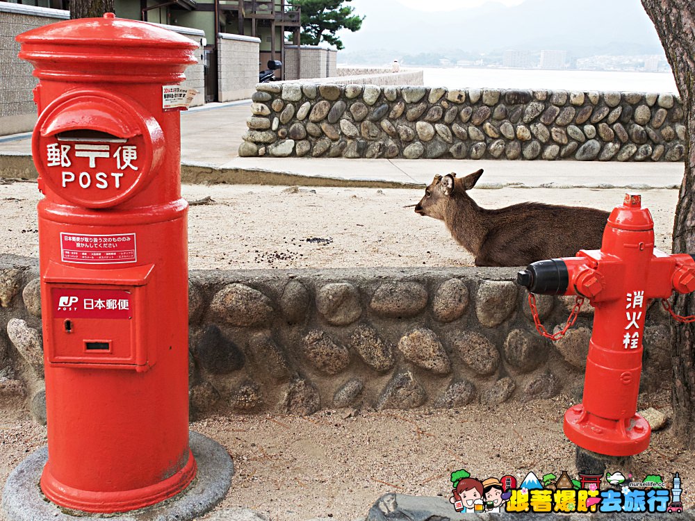 日本、廣島｜宮島嚴島神社–暢遊日本三大景與世界文化遺產之美 - nurseilife.cc