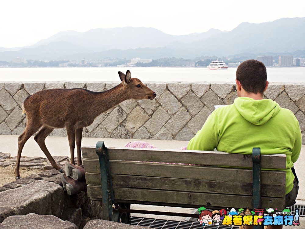 日本、廣島｜宮島嚴島神社–暢遊日本三大景與世界文化遺產之美 - nurseilife.cc