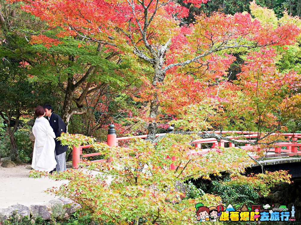 日本、廣島｜宮島嚴島神社–暢遊日本三大景與世界文化遺產之美 - nurseilife.cc