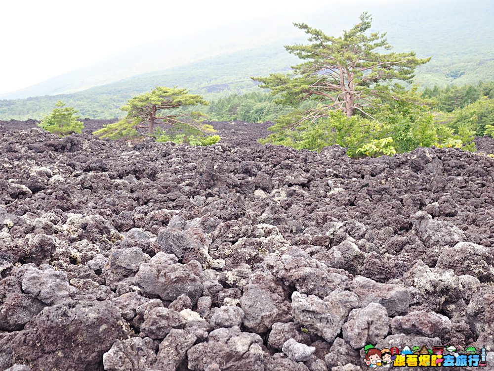 日本、岩手｜八幡平燒走溶岩流  親身感受火山爆發後的大地之景 - nurseilife.cc