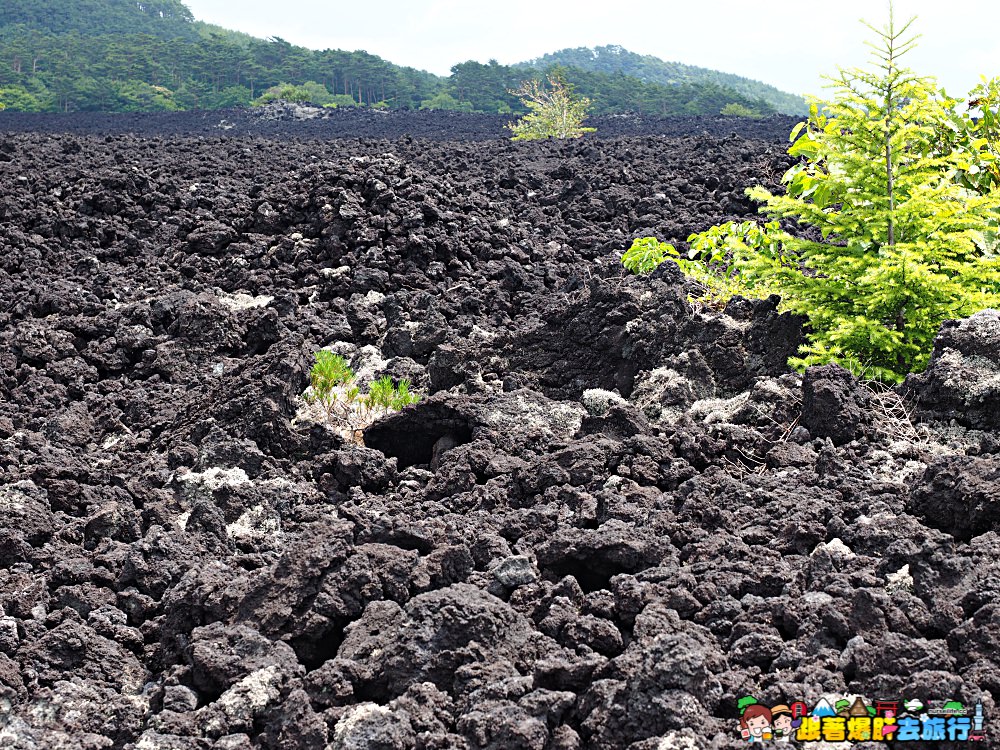 日本、岩手｜八幡平燒走溶岩流  親身感受火山爆發後的大地之景 - nurseilife.cc