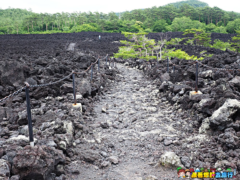 日本、岩手｜八幡平燒走溶岩流  親身感受火山爆發後的大地之景 - nurseilife.cc