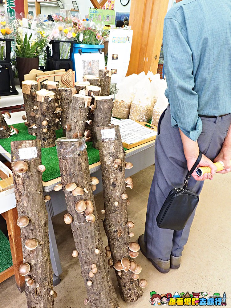 日本、岩手｜八幡平 道の駅 にしね 「菠菜冰淇淋」、限定地酒あき開 錯過可惜 - nurseilife.cc