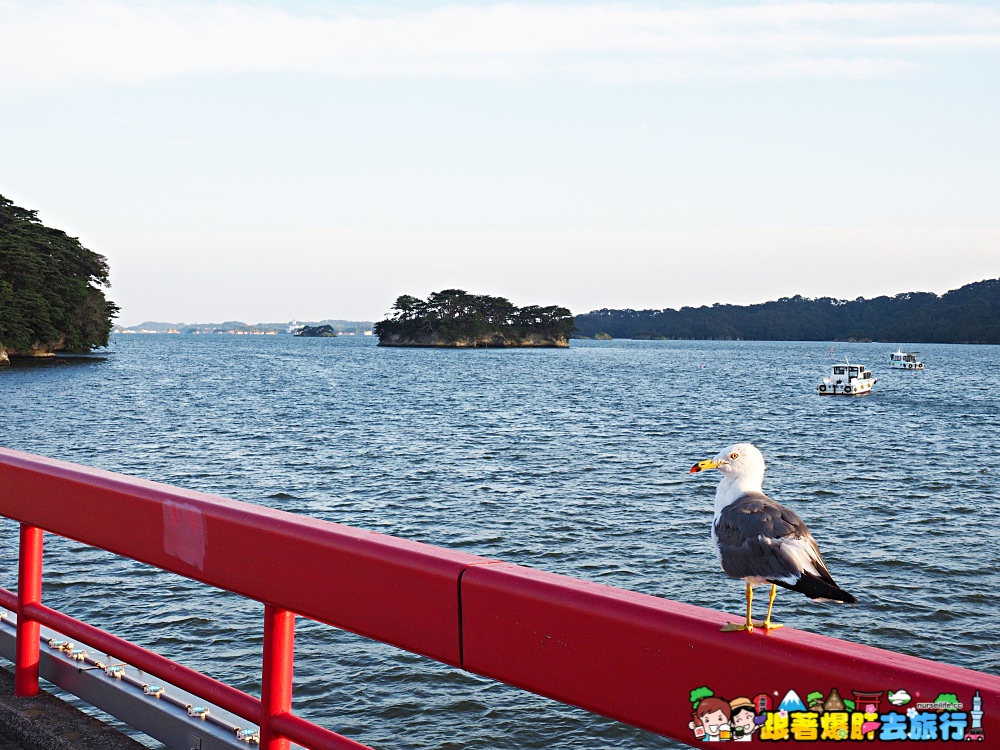 日本、宮城｜松島–福浦島 夕陽下漫步島嶼美景隨拾 - nurseilife.cc