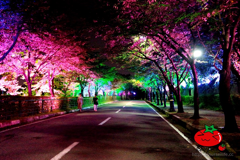 台灣虎航飛大邱！大邱景點、美食、地鐵、住宿整理 讓你第一次自助就上手！ - nurseilife.cc