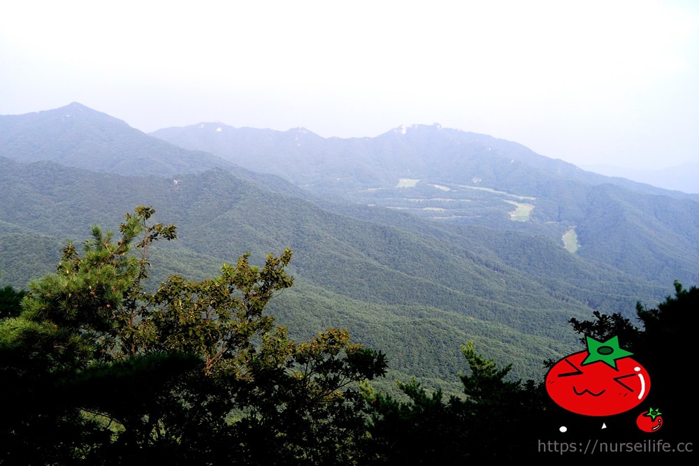 韓國、大邱｜八公山纜車+桐華寺園區–我在山上遇見愛 - nurseilife.cc