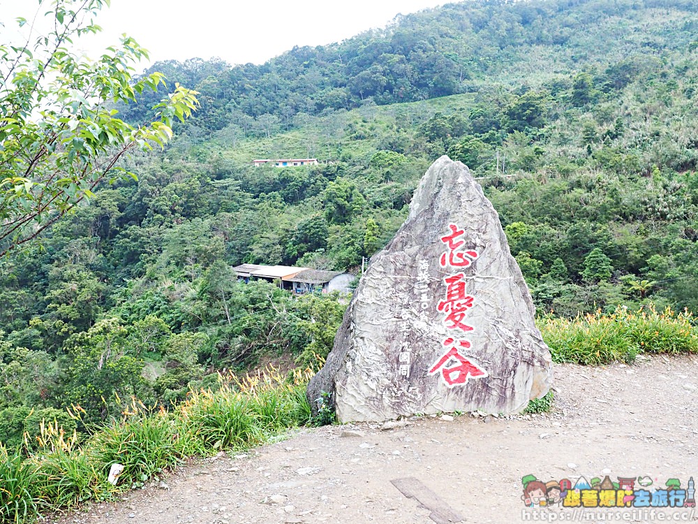 台東、太麻里｜金針山忘憂谷、雙乳峰、吳忠憲賞花區–夏日隨著金黃褪去而離開 - nurseilife.cc